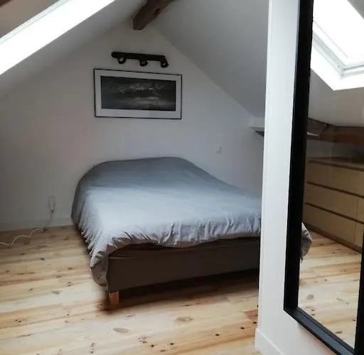 Duplex A 2 Pas Du Centre De Appartement