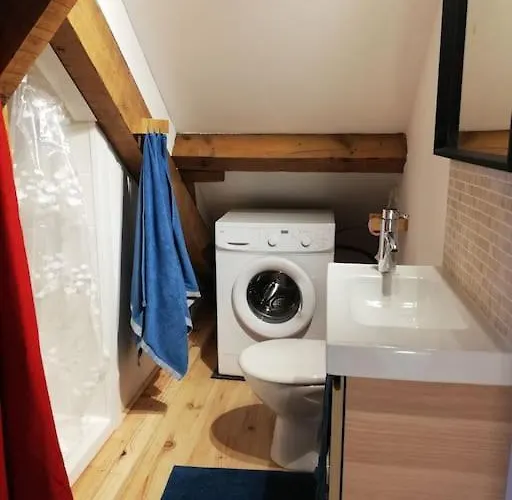 Duplex A 2 Pas Du Centre De Appartement Bayonne